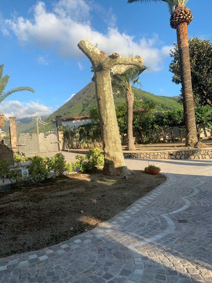 Villa Lucia Terrazza Panoramica Castellammare di Stabia Eksteriør bilde